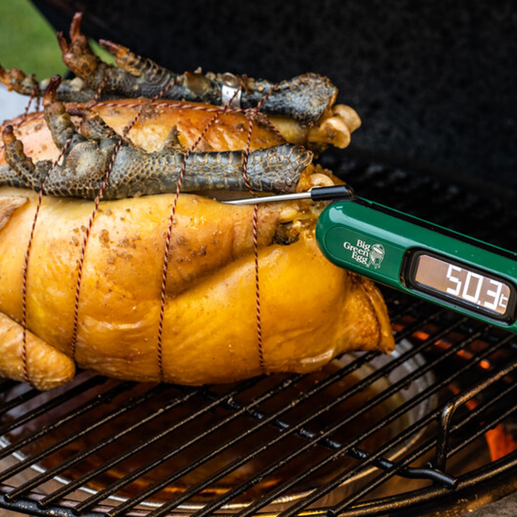 Instant Read Thermometer Lifestyle