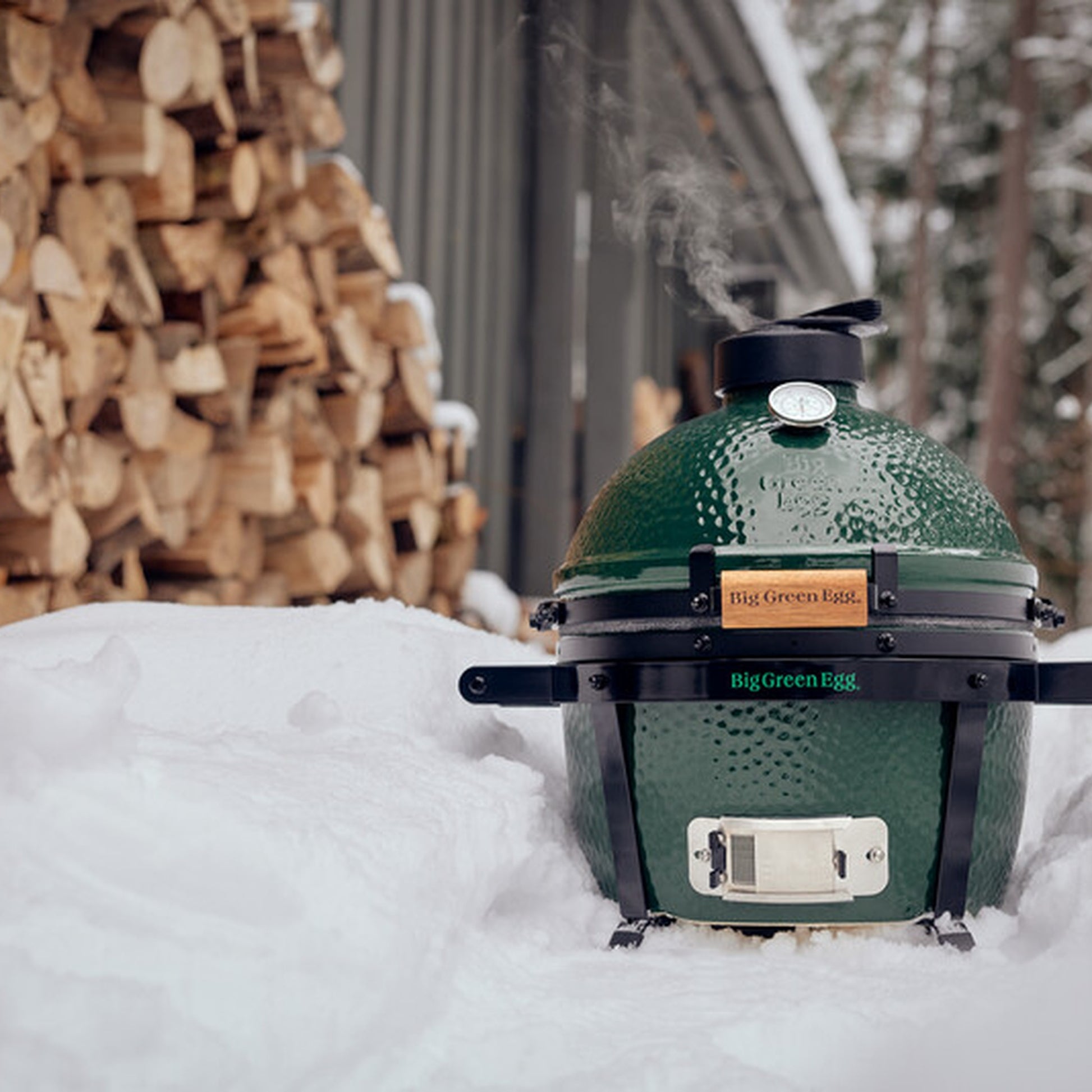 MiniMax Big Green Egg inkl. ConvEGGtor + EGG Carrier Lifestyle